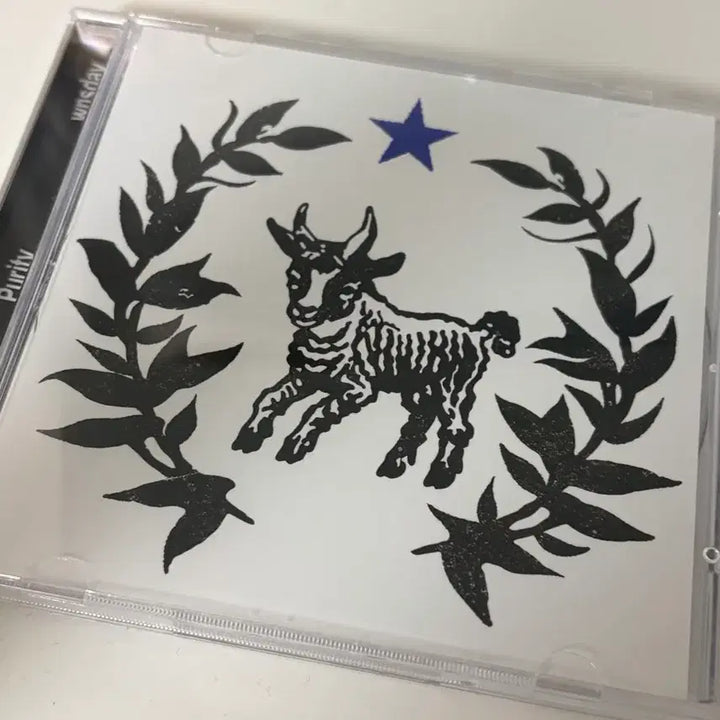 [BUNJANG] Matthew Purity Signed Album CD / 매튜 퓨리티 싸인반CD
