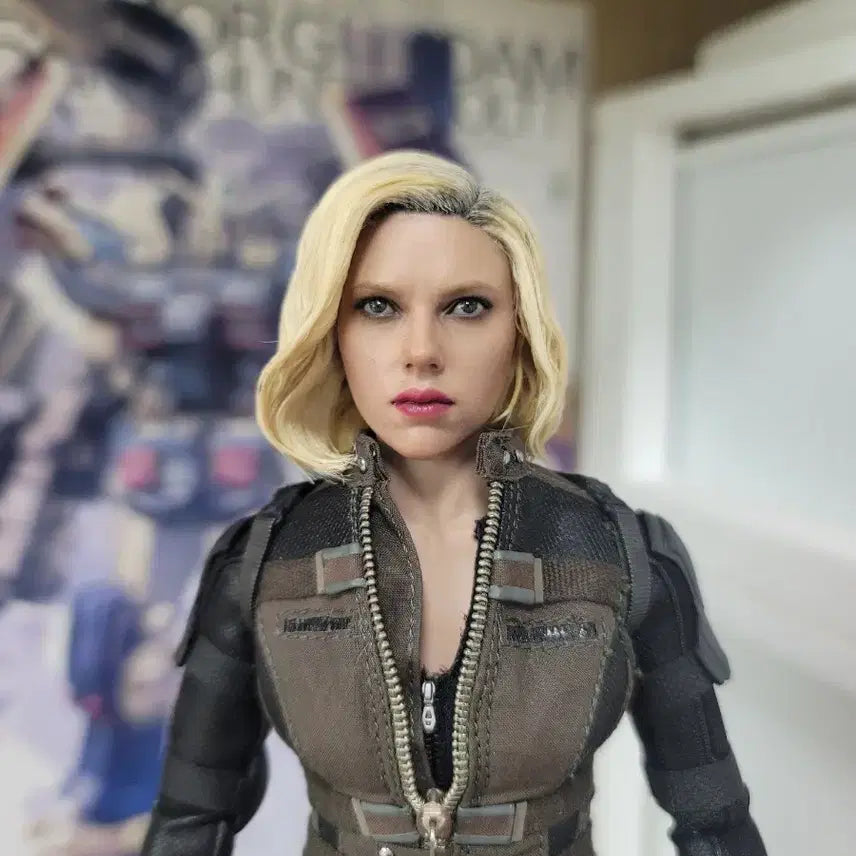 [BUNJANG] Hot Toys Black Widow (Infinity War Version) Custom Hair Sculpted Head / 핫토이 블랙위도우, 팔크 헤어 손질 헤드 (박스 X)