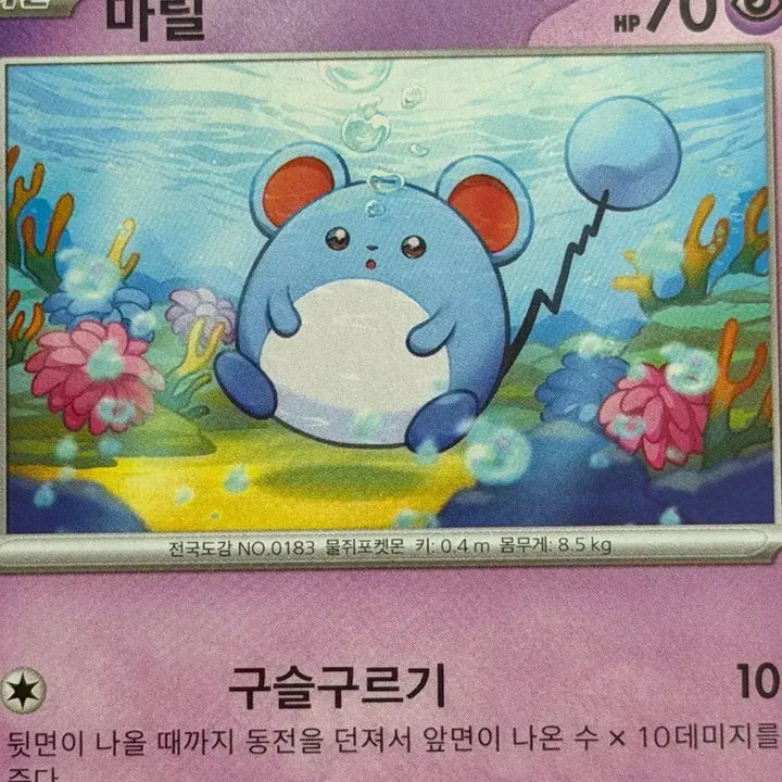 [BUNJANG] Pokemon Card Marill SV5K / 귀여운 포켓몬 카드 마릴 sv5k