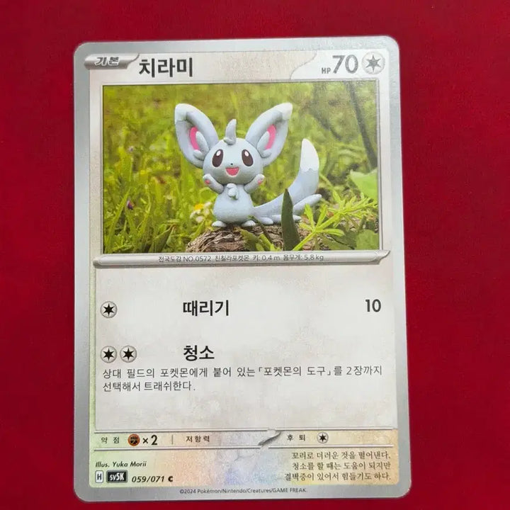 [BUNJANG] Pokemon Card Chirami 059/071 / 귀여운 포켓몬 카드 치라미 059/071