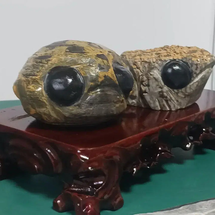 [BUNJANG] Stromatolite Stone Collection (2 Pieces) / 수석(스트로마톨라이트)