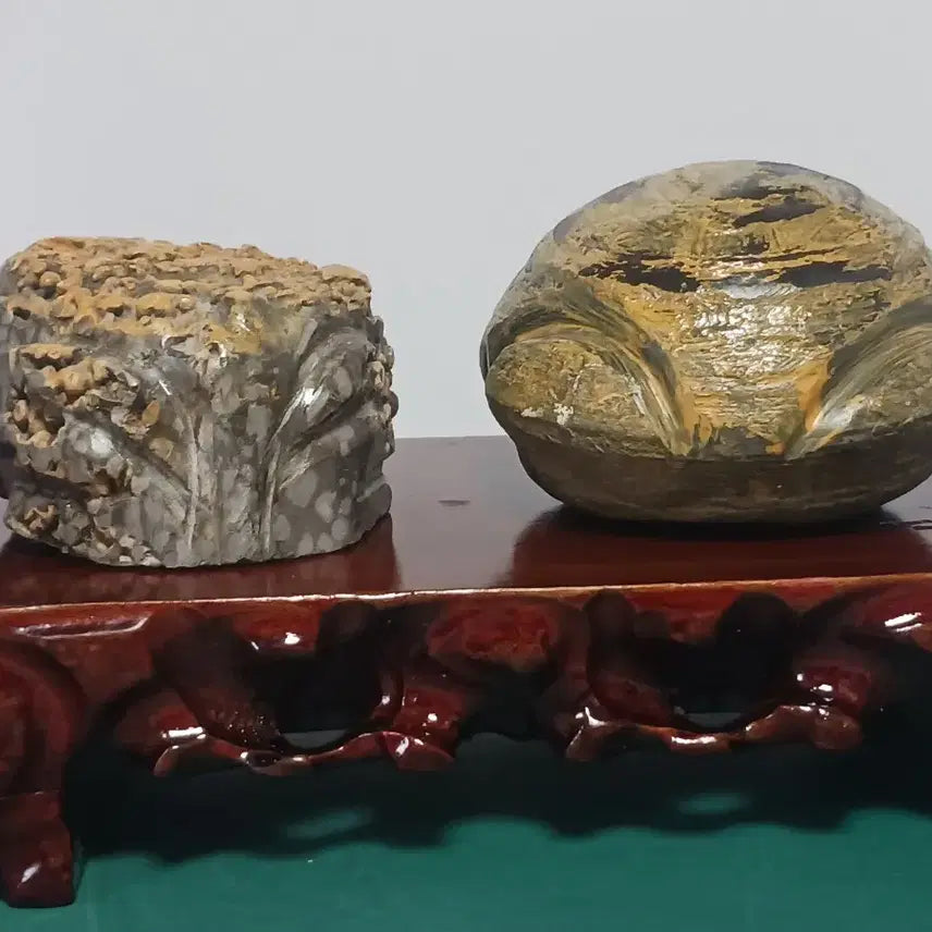 [BUNJANG] Stromatolite Stone Collection (2 Pieces) / 수석(스트로마톨라이트)