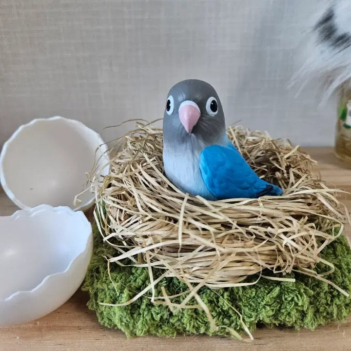 [BUNJANG] Sonbadak Friends Moonjo Green-Cheeked Parakeet Figure Bundle Set / 손바닥친구들 문조 눈테모란앵무 일괄
