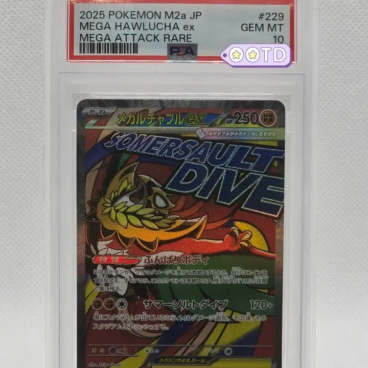 [BUNJANG] Pokemon Card Megalucha EX PSA 10 / [PSA10] 포켓몬카드 메가루차불 MA
