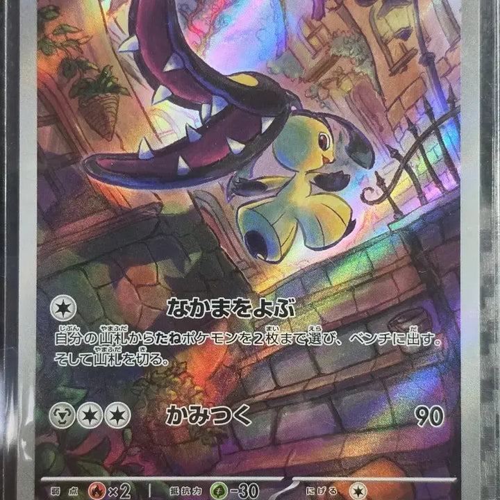 [BUNJANG] Pokemon Card Kuchito 754/742 / 포켓몬 카드 쿠치토 754/742