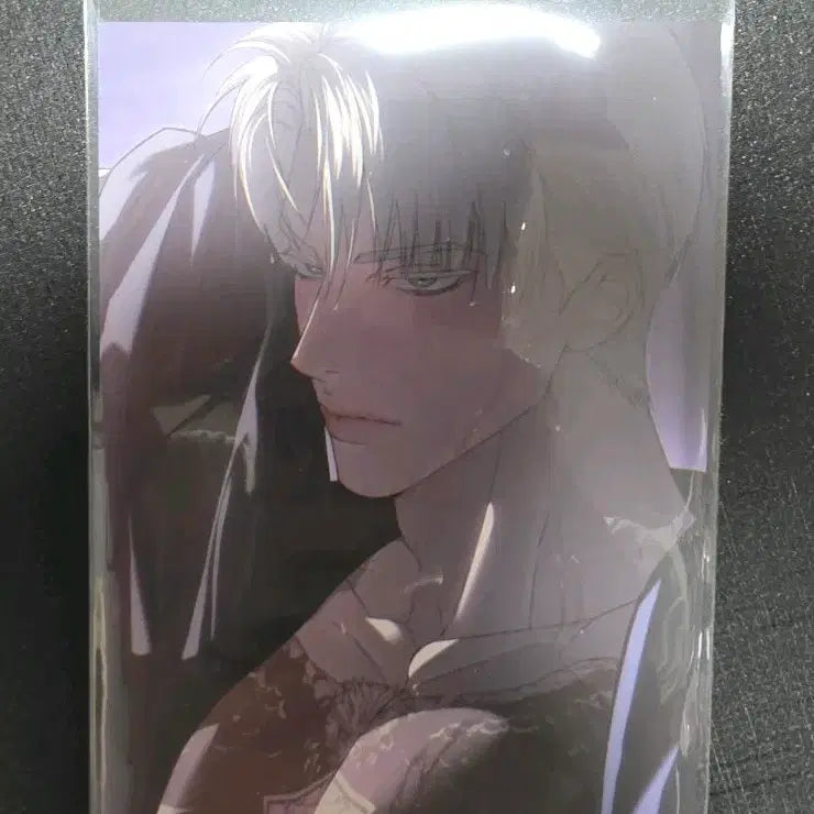 [BUNJANG] Codename Anastasia Limited Edition Bonus / 코드네임 아나스타샤 1만 특전