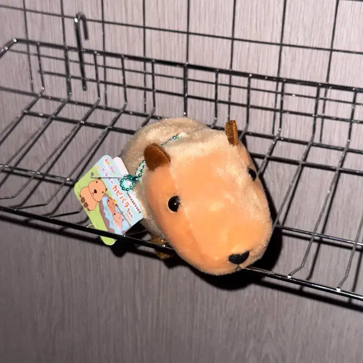 [BUNJANG] Amuse Nohohom Capybara-chan Plush Keychain / 어뮤즈 노호혼 카피바라짱 카피바라 인형 키링