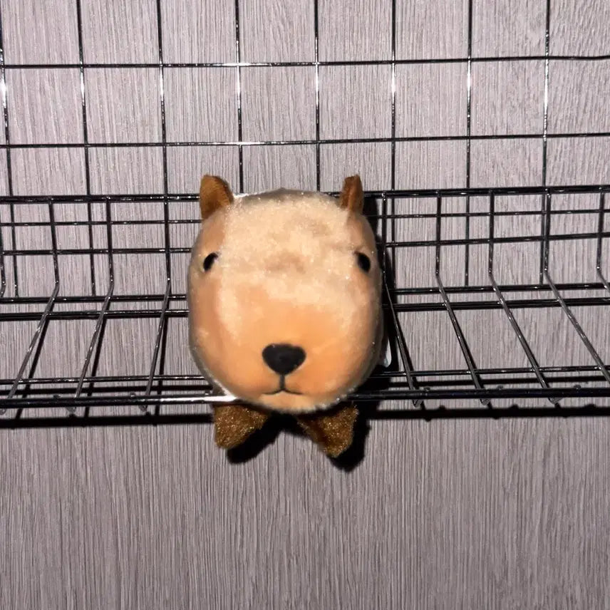 [BUNJANG] Amuse Nohohom Capybara-chan Plush Keychain / 어뮤즈 노호혼 카피바라짱 카피바라 인형 키링