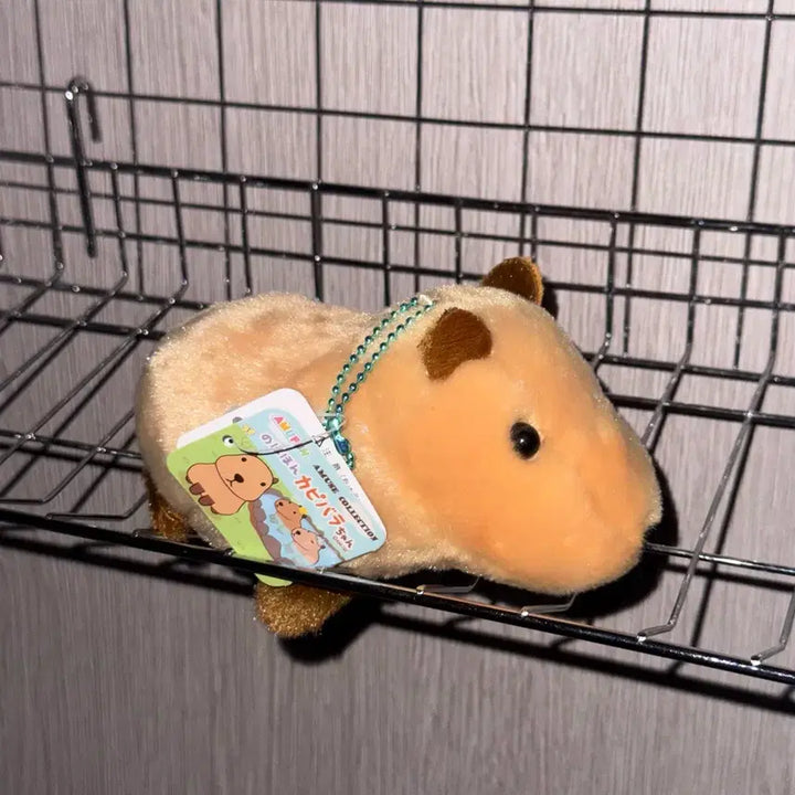 [BUNJANG] Amuse Nohohom Capybara-chan Plush Keychain / 어뮤즈 노호혼 카피바라짱 카피바라 인형 키링