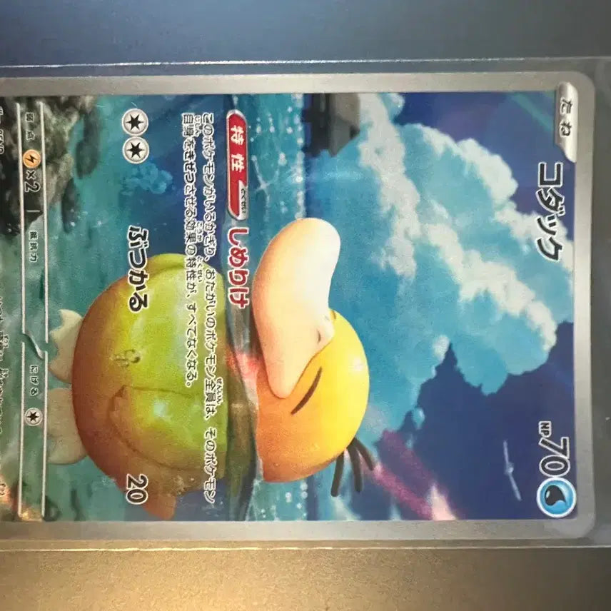 [BUNJANG] Pokemon Card Golduck Groudon AR / 포켓몬카드 일판 ar 고라파덕 가이오가