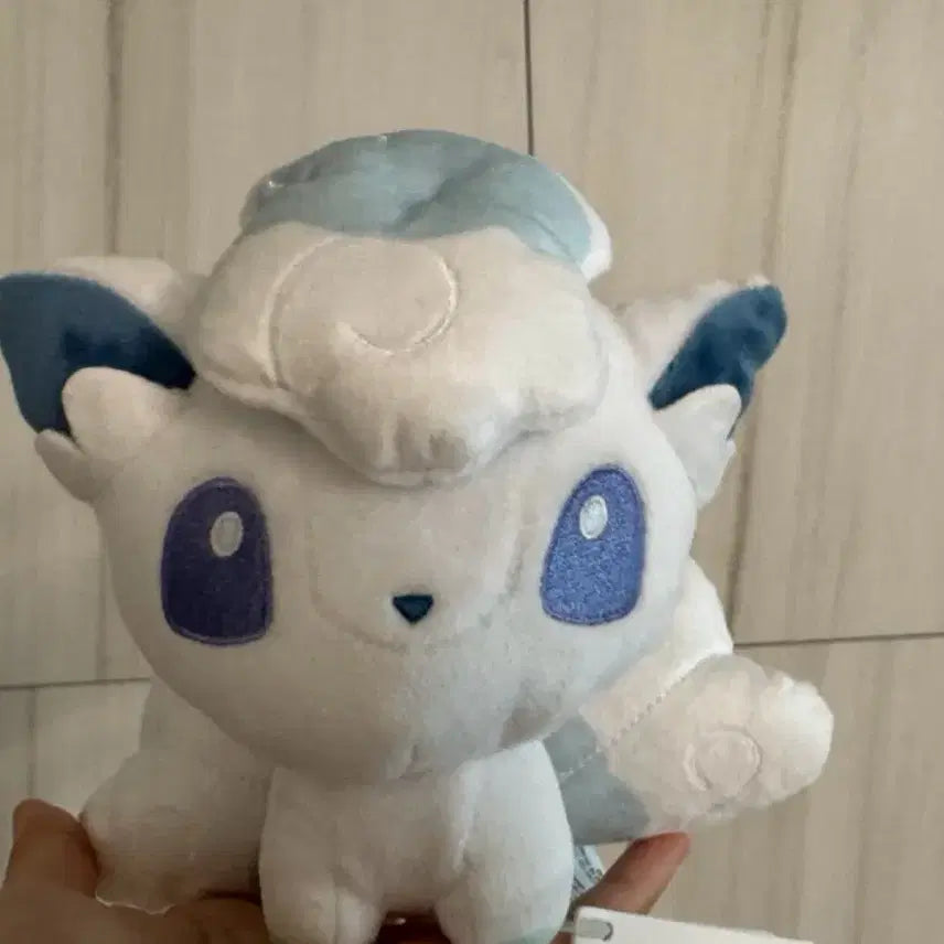 [BUNJANG] Pokemon Dolls Alolan Vulpix Rare Shanghai Exclusive / 포켓몬 돌즈 알로라 식스테일 상하이 포켓몬 희귀 굿즈 국내미판매