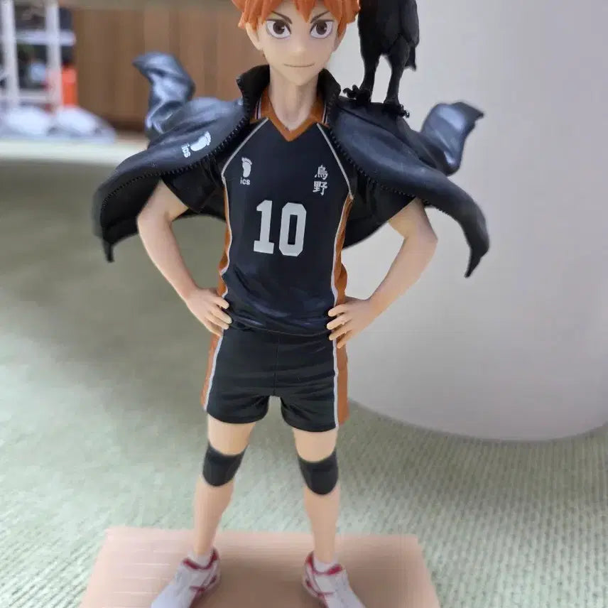 [BUNJANG] Karasuno&