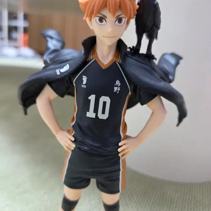 [BUNJANG] Karasuno&