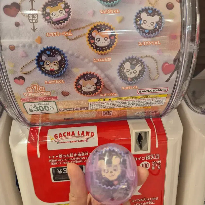 [BUNJANG] Hamtaro Handmade Snack Gachapon Keychain New / [코울(호두)] 방가방가햄토리 수제간식 키링 가챠 새상품