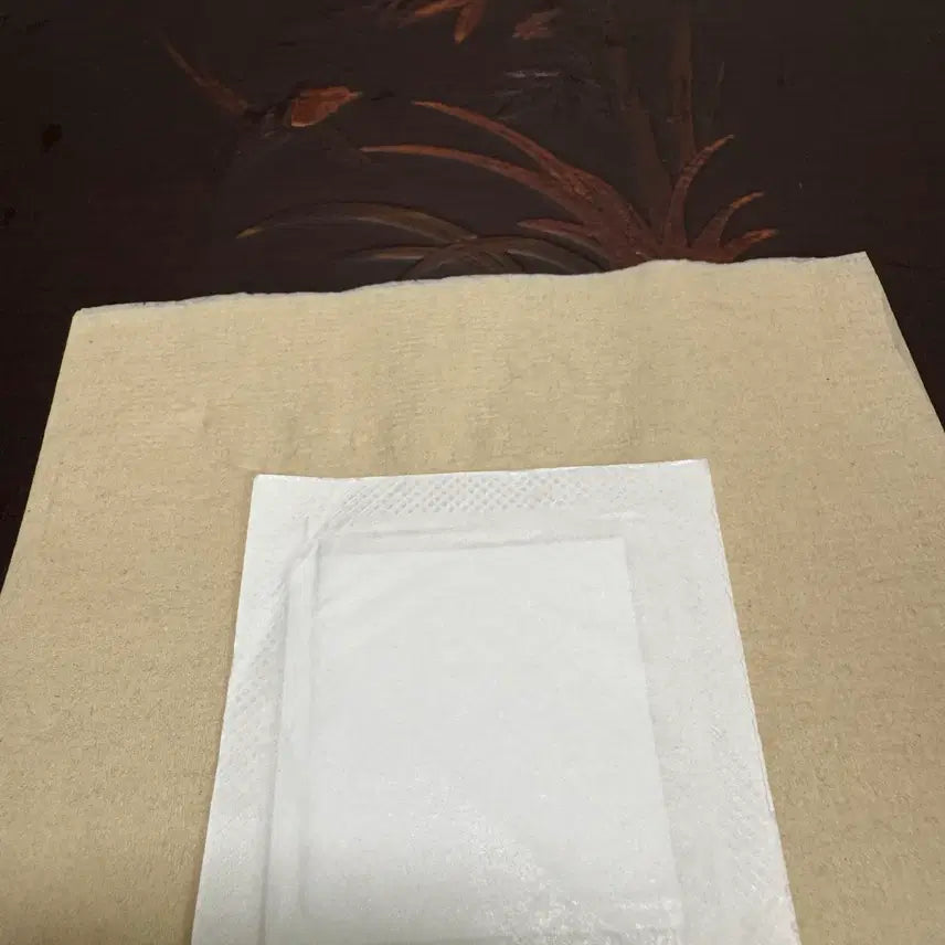 [BUNJANG] Pokemon Old Version Sealed Sticker Butterfree (Backdoor Seal) / 포켓몬 구버전 미개봉 띠부씰 버터플 무지