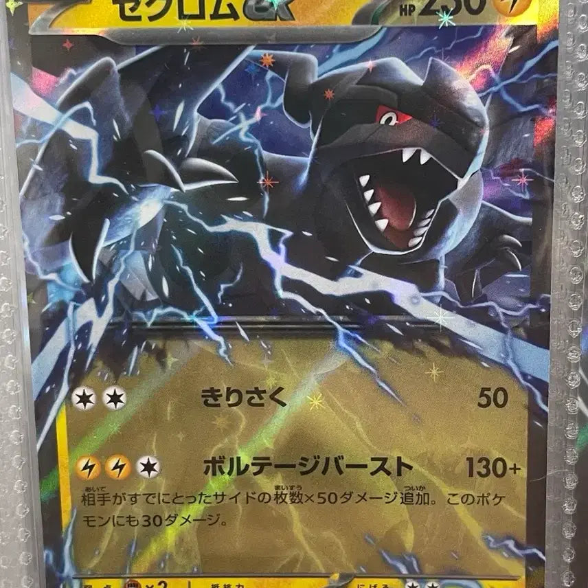 [BUNJANG] Zekrom EX Japanese / 제크로무 ex 일판