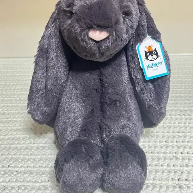 [BUNJANG] Jellycat Bashful Bunny Plush / 젤리캣 바쉬풀 버니