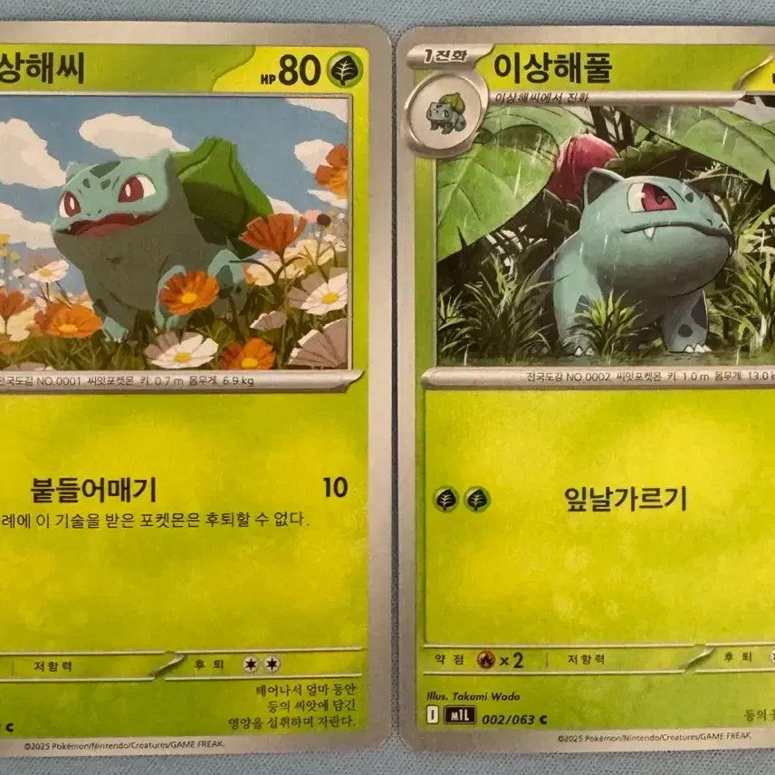 [BUNJANG] Pokemon Cards Bulbasaur Evolution Set / 포켓몬카드 이상해씨 이상해풀 세트