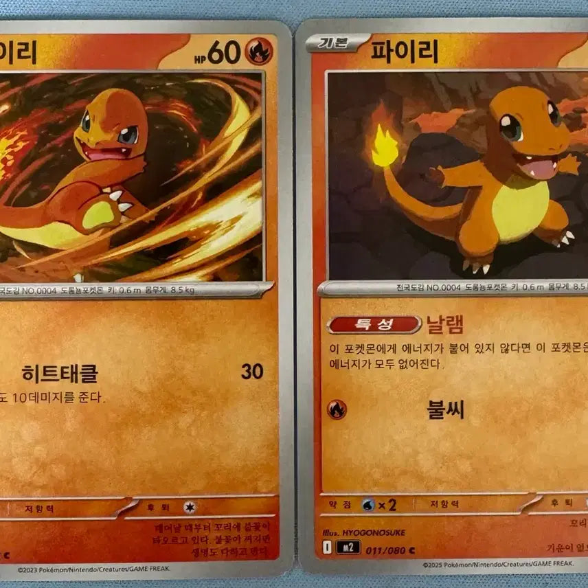 [BUNJANG] Pokemon Charmander Card Set / 포켓몬카드 파이리 세트
