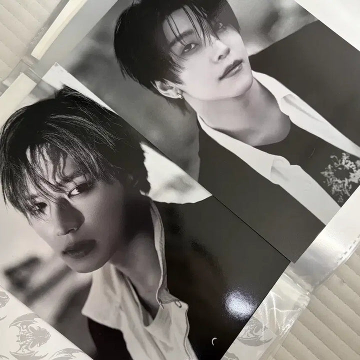 [BUNJANG] ALPHADRIVEONE Fragile Beast Album Postcard Junseo SSINLONG / 알디원 알파드라이브원 fragile beast 앨범 엽서 준서 씬롱