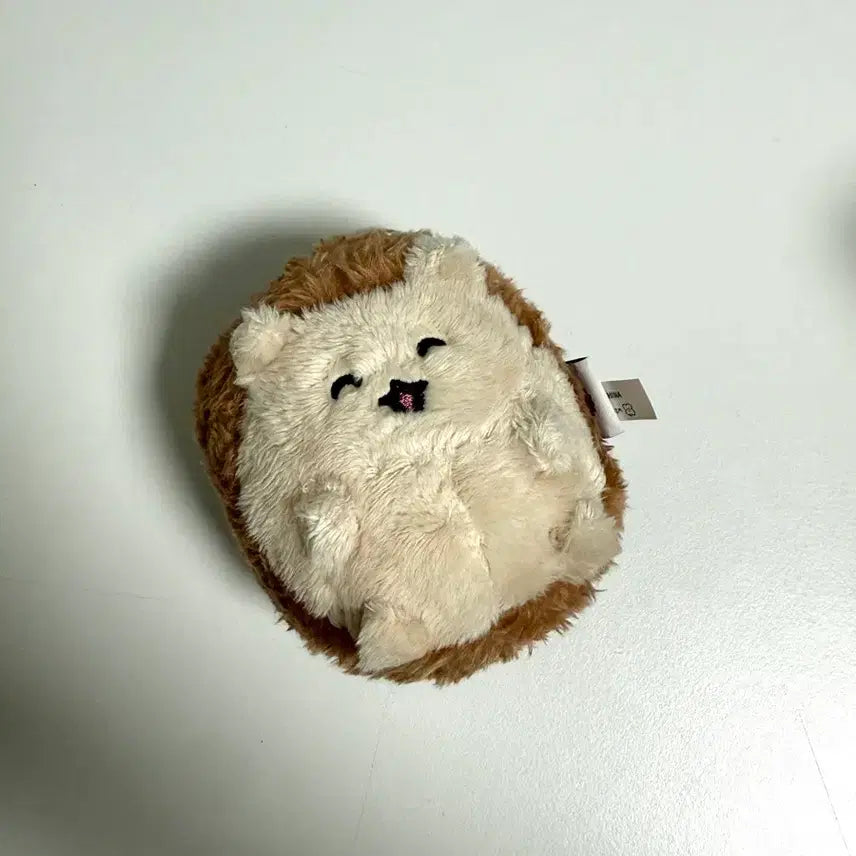 [BUNJANG] Choego Sim Goshim Dochi Plush / 최고심 고심도치 인형