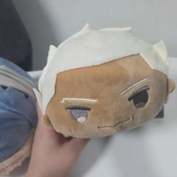 [BUNJANG] Fate Archer (Emiya) &amp; Caster (Koolin) Mocchi-Mocchi Plush Set / 페이트 모찌마스 ms 사이즈  캐스터 쿠훌린 에미야 아처