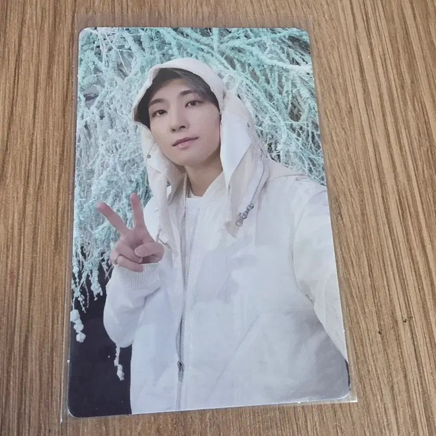 [BUNJANG] SEVENTEEN Wonwoo Photocard Winter Concept / 세븐틴 원우 포토카드
