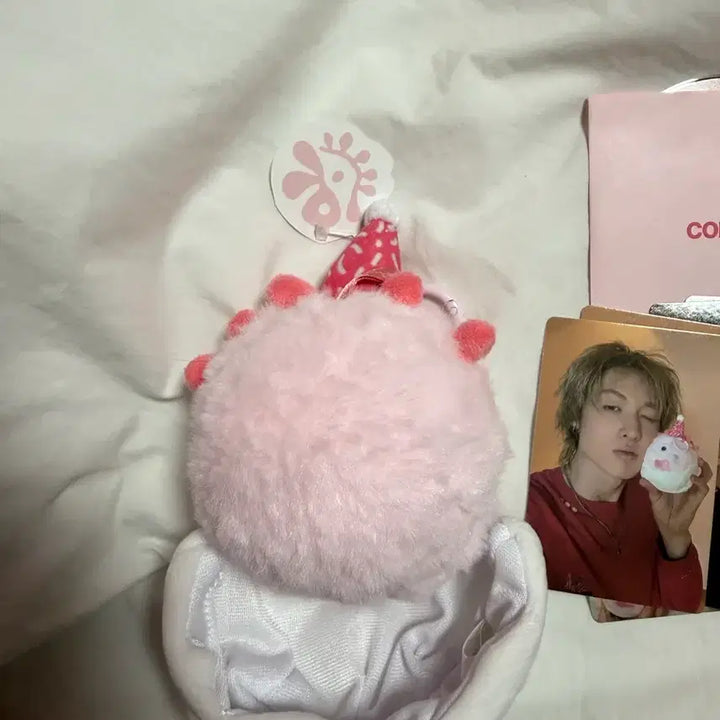 [BUNJANG] Cortis Ball Pink Unsealed Full Box / 코르티스볼 핑크 단순개봉 풀박