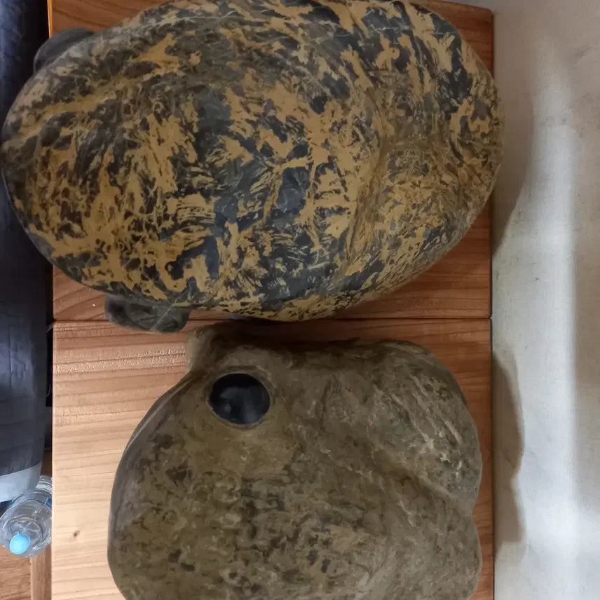 [BUNJANG] Stromatolite Fossil Toad / 스트로마톨라이트 화석 두꺼비