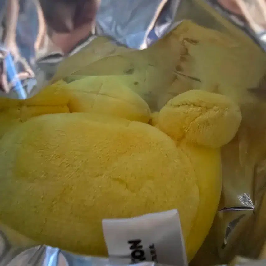 [BUNJANG] Pokemon Pikachu Stuffed Toy / 별빛낙원 열매 든 포켓몬 피카츄 판매