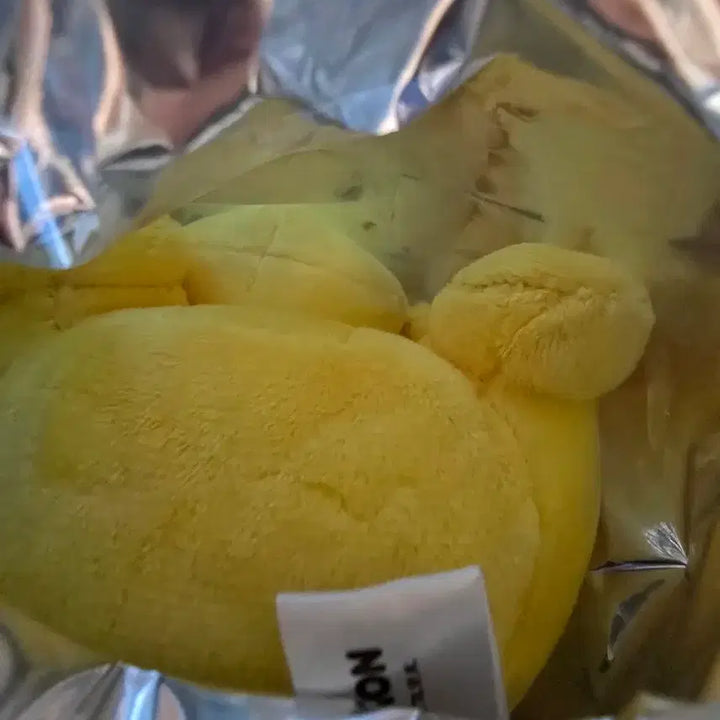 [BUNJANG] Pokemon Pikachu Stuffed Toy / 별빛낙원 열매 든 포켓몬 피카츄 판매