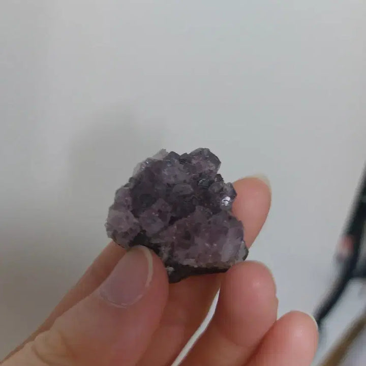 [BUNJANG] Natural Amethyst Druzy Geode / 아메시스트 자수정 드루지 천연 원석