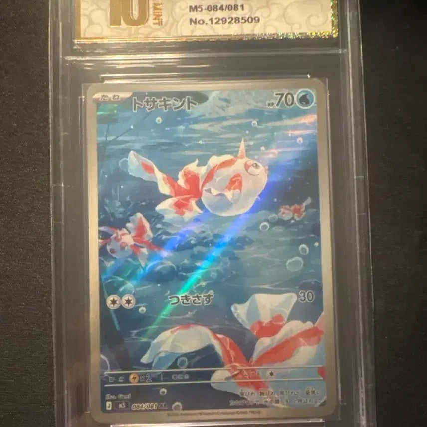 [BUNJANG] Pokemon Card Conchi AR Graded 10 (Japanese) / 콘치 ar 10등급 일판