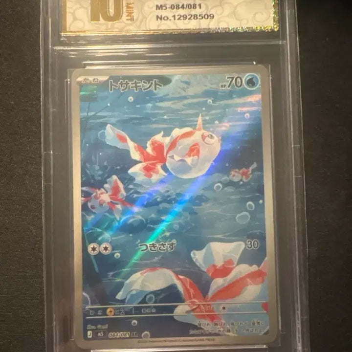 [BUNJANG] Pokemon Card Conchi AR Graded 10 (Japanese) / 콘치 ar 10등급 일판