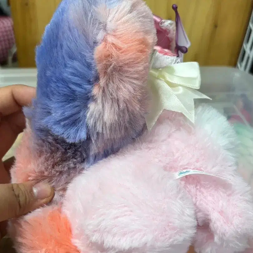[BUNJANG] Dragon Cat Random Plush / 드래곤 고양이 랜덤 인형