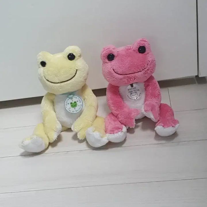 [BUNJANG] Pickles the Frog Plush Doll / 피클스 더 프로그 개구리 인형