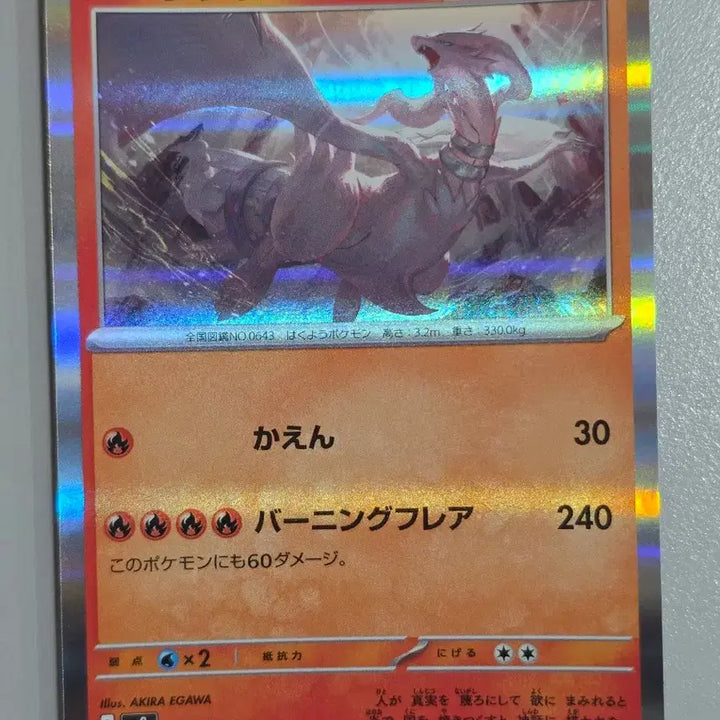 [BUNJANG] Pokemon Reshiram Zekrom Rayquaza 3-Card Set / (포켓몬) 제크로무/레쿠자/레시람 3장 세트