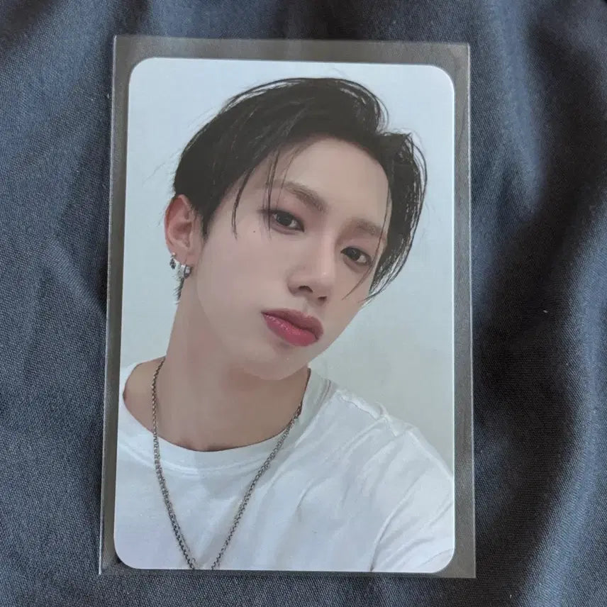 [BUNJANG] DARKBEE Harry June Everline Lucky Box POB Photocard / 다크비 해리준 에버라인 LUCKY BOX 미공포 특전 포카