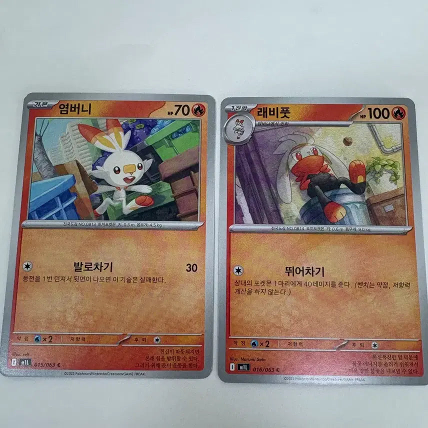 [BUNJANG] Pokemon Card Raboot/Cinderace Evolution Set / 포켓몬 카드 래비풋/염버니 C 진화세트