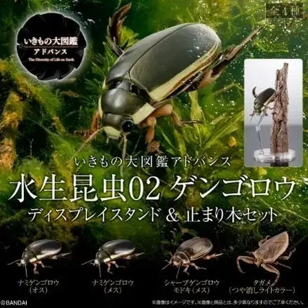 [BUNJANG] Bio Encyclopedia Advance Aquatic Insects Vol. 2 (Online) / [생물대도감 어드밴스] 수서곤충 2탄 (온라인)