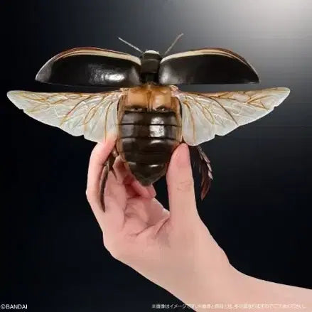 [BUNJANG] Bio Encyclopedia Advance Aquatic Insects Vol. 2 (Online) / [생물대도감 어드밴스] 수서곤충 2탄 (온라인)