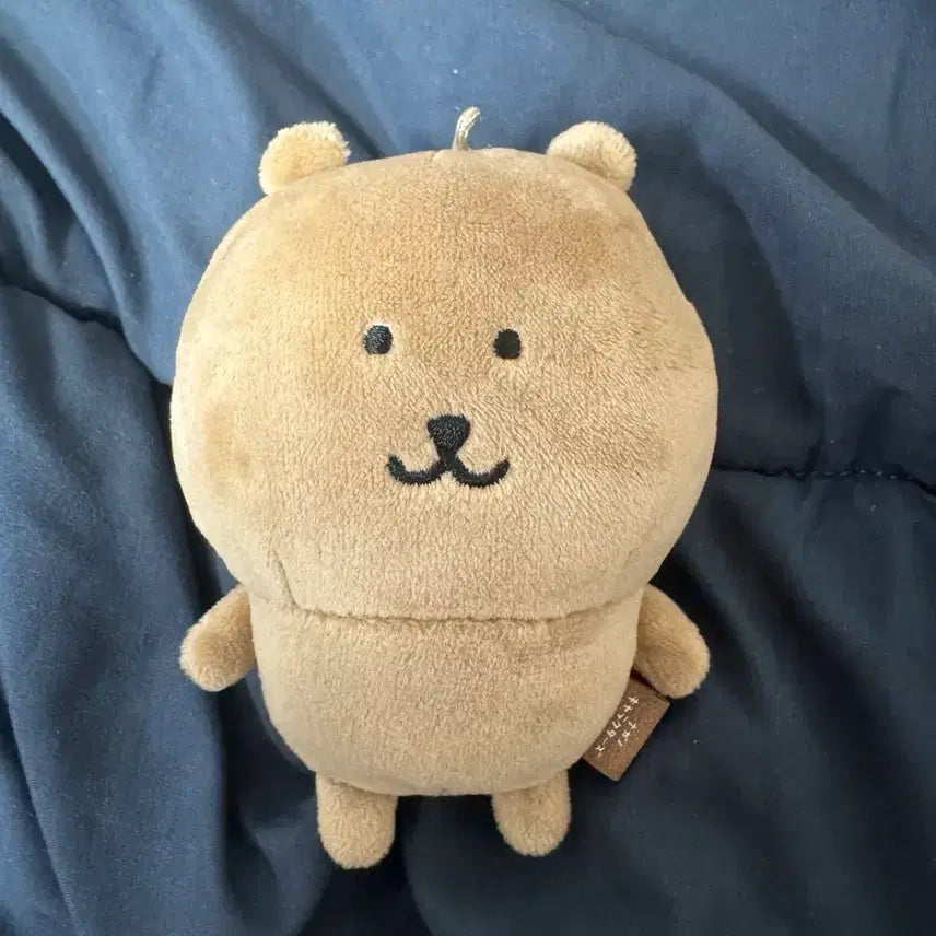 [BUNJANG] Tanning Joke Bear Authentic / 태닝 농담곰 정품
