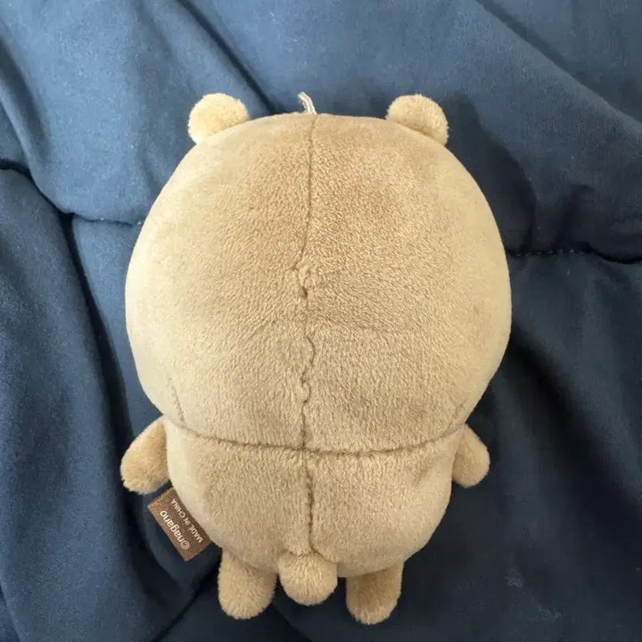 [BUNJANG] Tanning Joke Bear Authentic / 태닝 농담곰 정품
