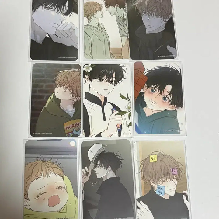 [BUNJANG] MoFun Sahhan Visit Photocard Full Set / 모펀 사한 방문포카 방포 드볼 세트