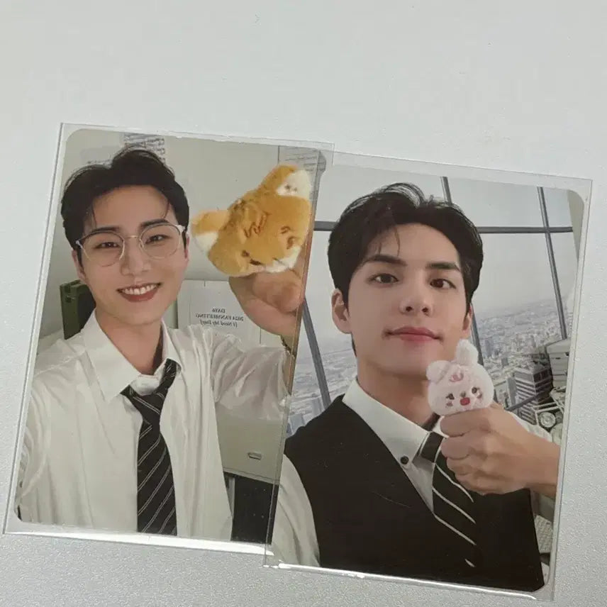 [BUNJANG] Day6 Young K &amp; Wonpil Bundle Set Photocard / 영케이+원필 포카 일괄 양도