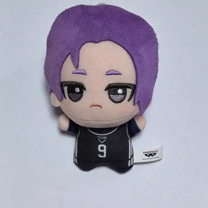 [BUNJANG] Blue Lock Reo TeamV Plush / 블루록 레오 팀V 누이 판매