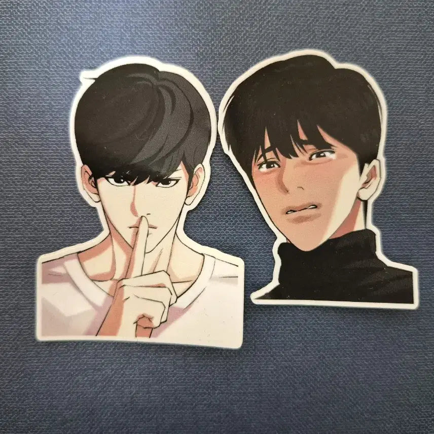 [BUNJANG] Lookism Sticker Bundle / 외지주 스티커 일괄 판매