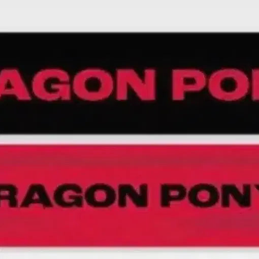 [BUNJANG] DragonPony 1st Anniversary Slogan (Sealed) / 드래곤포니 일주년 슬로건 미개봉 판매합니다
