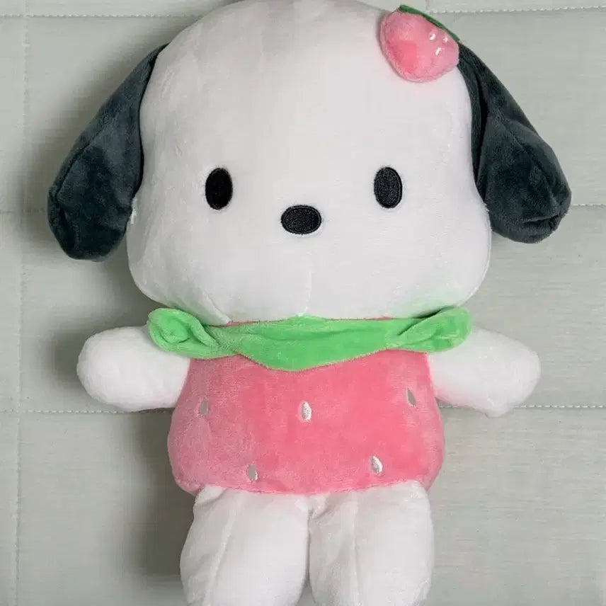 [BUNJANG] Sanrio Pochacco Strawberry Plush Medium Doll / 정품 산리오 포차코 딸기 봉제 중형인형