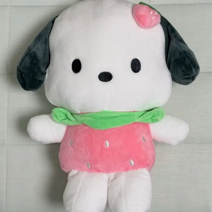 [BUNJANG] Sanrio Pochacco Strawberry Plush Medium Doll / 정품 산리오 포차코 딸기 봉제 중형인형